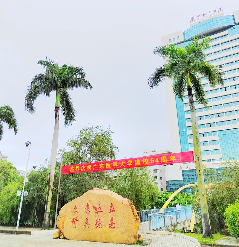 926BD731903DD36AB1E65CD2475_E08BDA8B_923FF