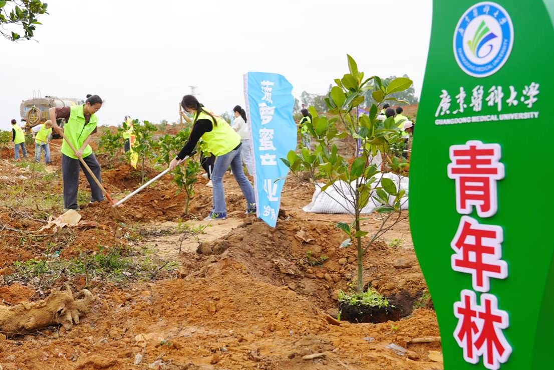 7F2FC013B6D53CBAC78A205052D_8A7D92FC_2C1B6