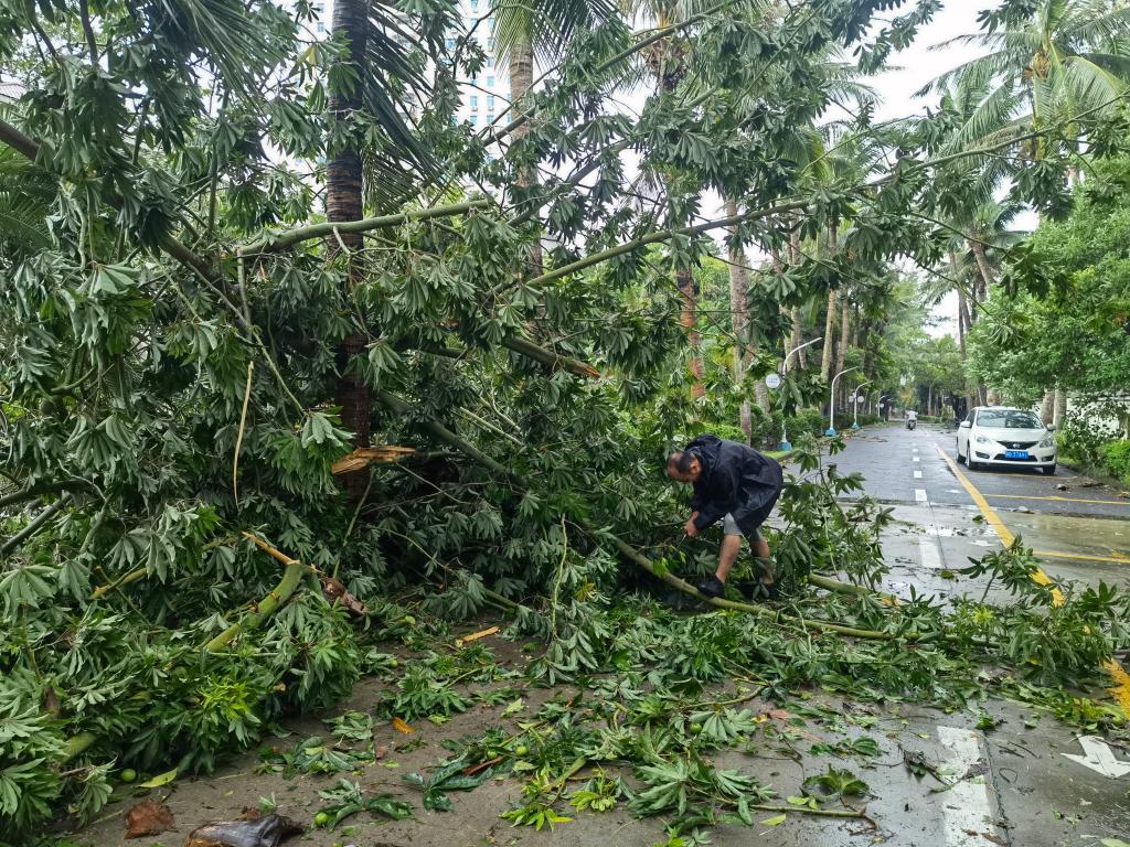 271994761354DB2106BD2C1F8FA_362A11BD_3F667