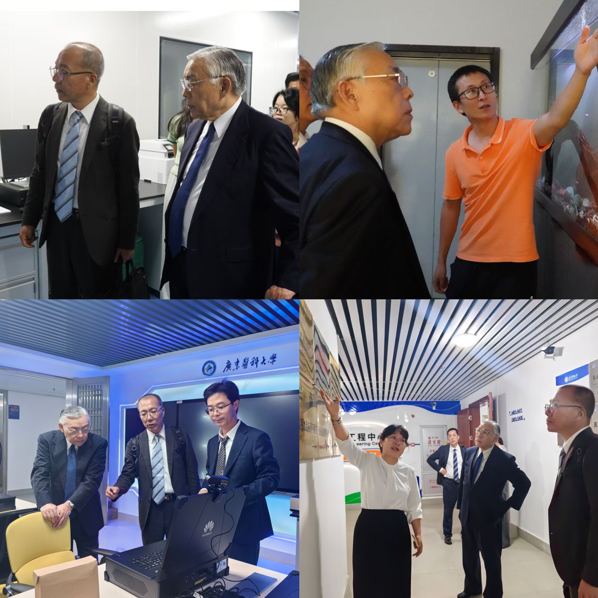 6AD698864D26001EDBB90ED00D8_B412B430_6DAFF