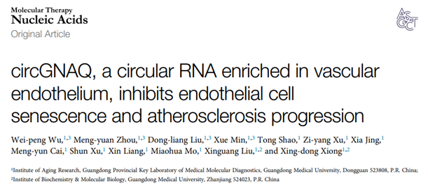 0F48386B9D2EE211F030C55B82C_5EAEA275_1BA35