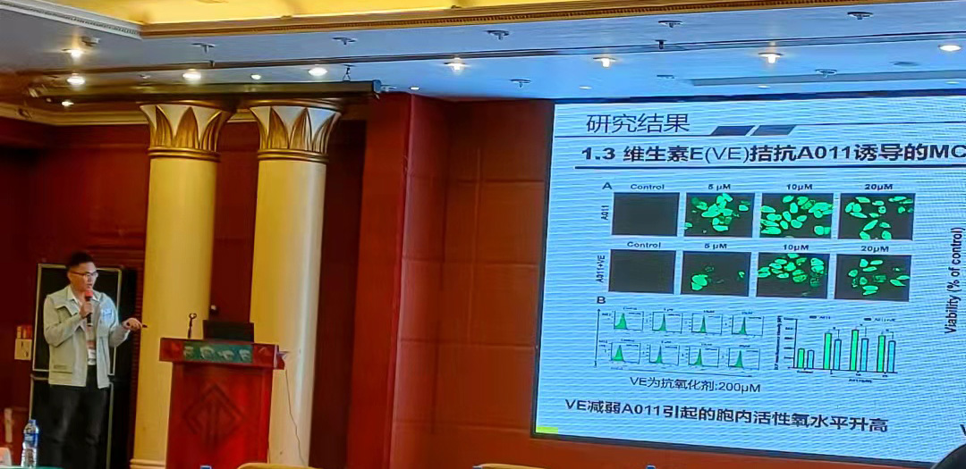 B6367E0DD710DFE4DADB7ECD070_F78B8C15_3CE5B