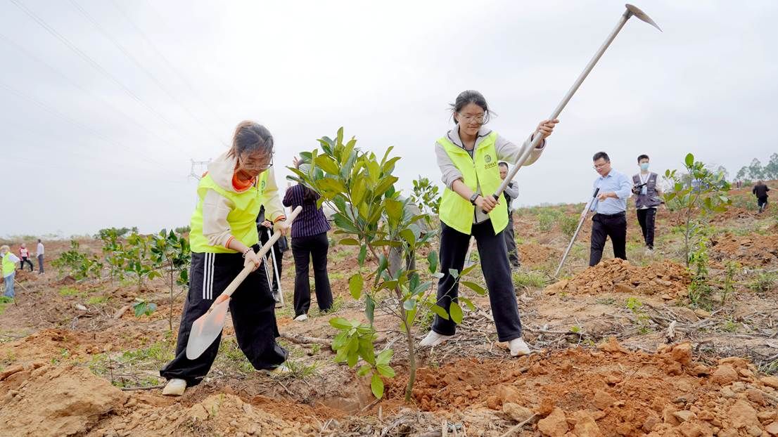 0C528511EDFFEC8A60A6FEC334C_03EFBA00_2392A