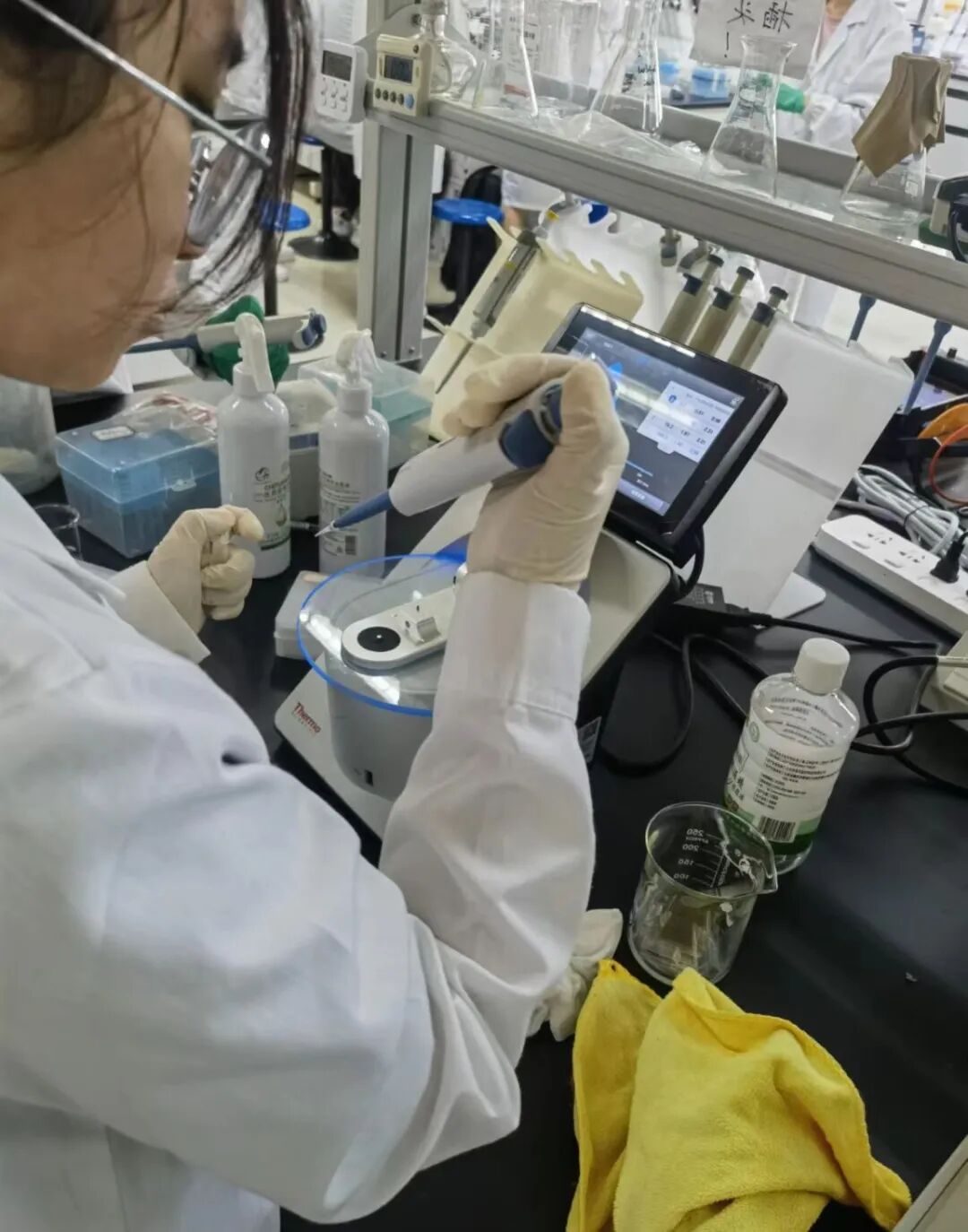 15309A43B7C90F0789A8892B67A_5B20E24E_24582.jpg?e=