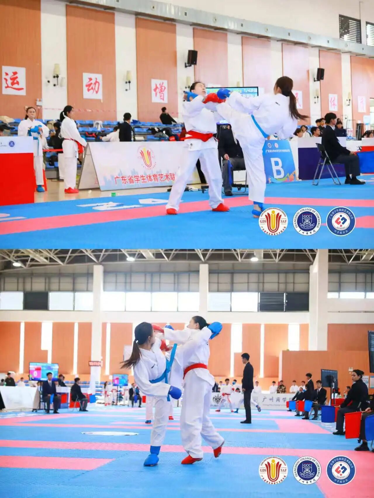 3D5B0452E76A039EAE1BCE558AF_ED462099_3C2AF