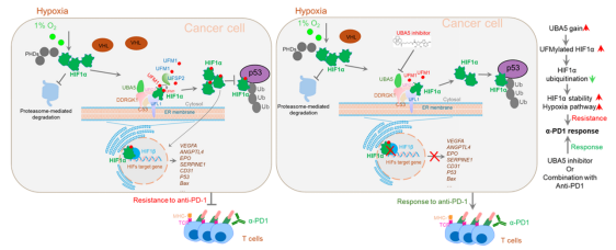 F20CA41751C9DCADECA9D1EFC75_6F3EAC23_7D690