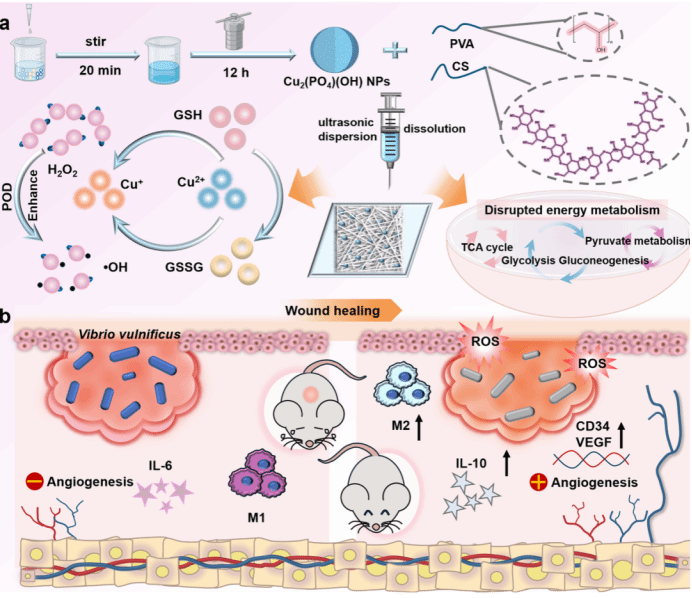 585798847B72FF9F5F0A55C4920_19E665FF_18B5D