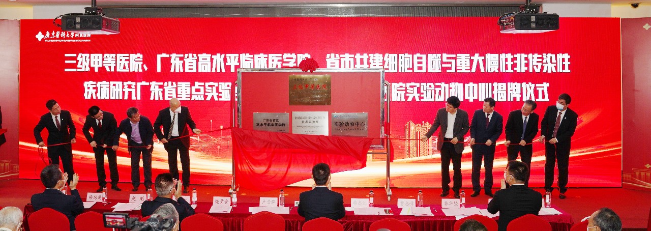 819AC5D84206865D31B10A36C94_1AE504E5_3520A