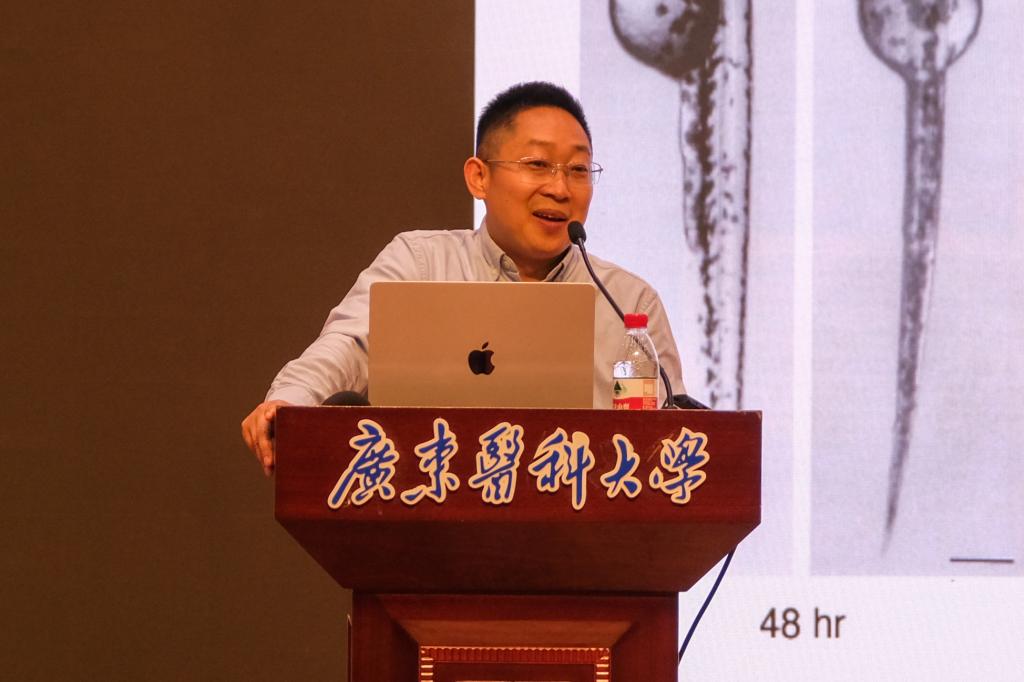 30107EAFEE828AB429AD324F38C_D038D65B_EBBA 30107EAFEE828AB429AD324F38C_D038D65B_EBBA