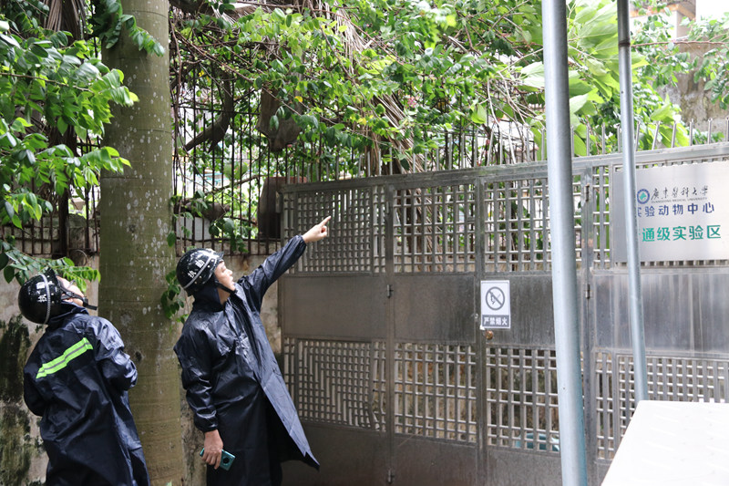 CD209486376F883C4E4AB1F5343_83627D5B_37793