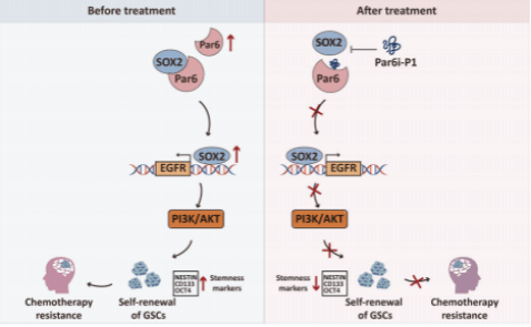 F66962F644526F42898DFF28A73_9B46E7EC_572A