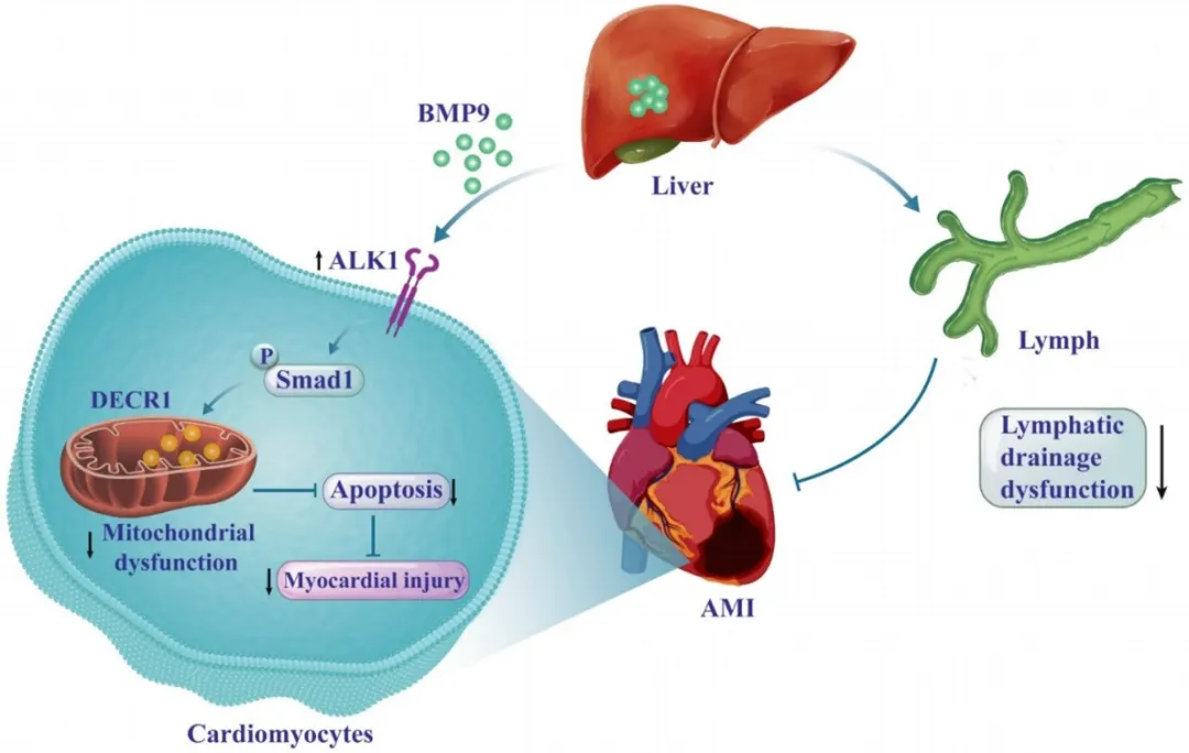 34E28F3E0122907EB720CD4AE15_4219B9C5_95319 34E28F3E0122907EB720CD4AE15_4219B9C5_95319