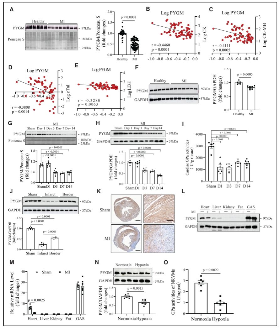 378F44844F066FA04180AD269B1_FFA4BF35_230C2
