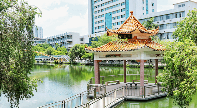 ��ҳ|�Ϲ�NG28��������Ʒ��ʵ������