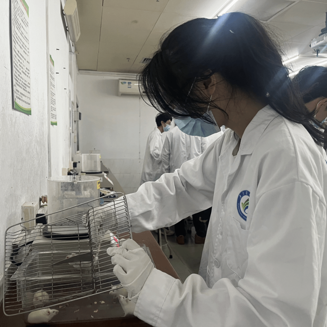 4D66090CF5239CD91BF7EB0ED2B_3B10197F_90335.png?e=