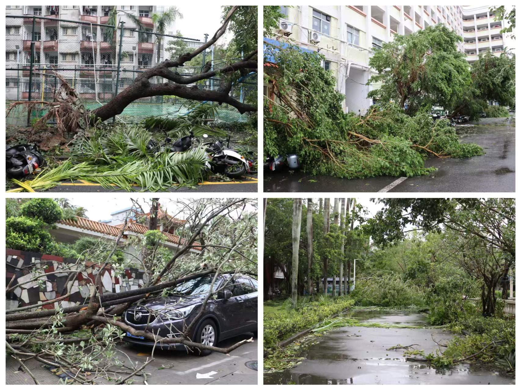 0DB8C76D76CA0107E7526BA2590_FA788E24_80785