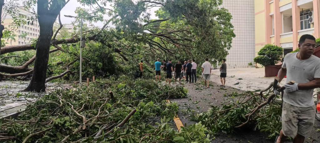 EA90CE4998538554F5B750CF0E6_81A0BE43_20714