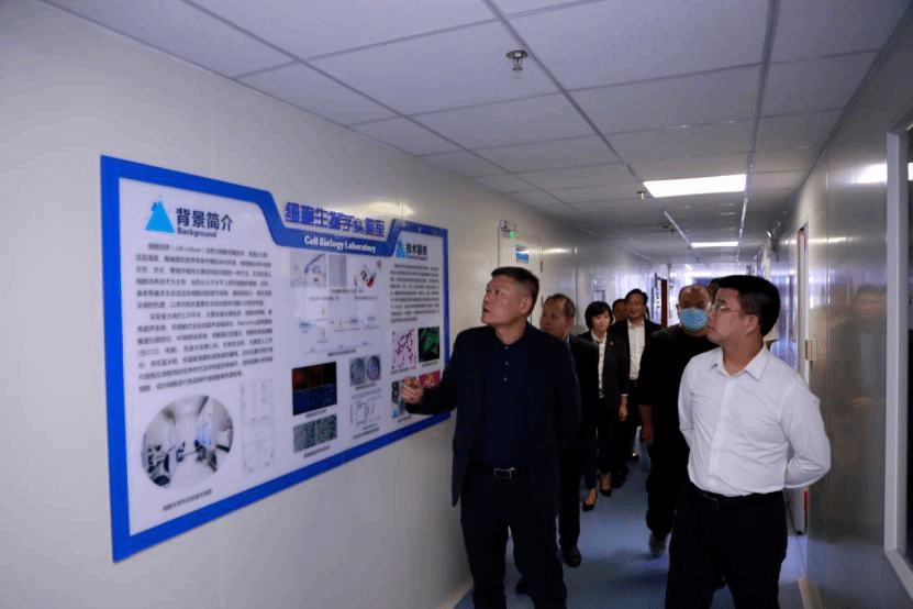 A509FCAE80809296C6605A778A1_675D71C7_AC60 A509FCAE80809296C6605A778A1_675D71C7_AC60