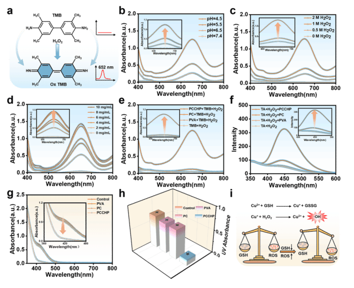 D0F0514E83F2CBE0BF48B544C32_6ECE17E9_13A60