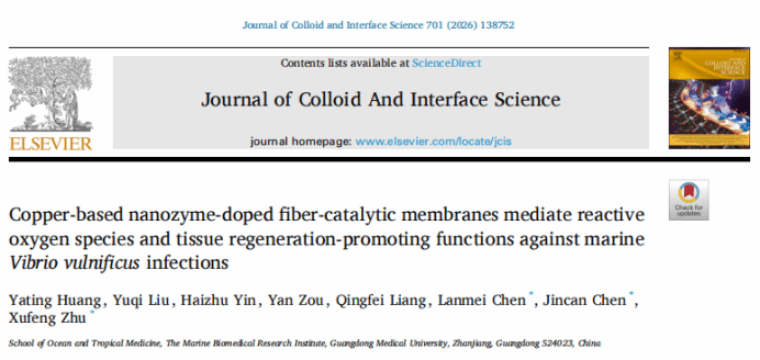 C940DE90CF645DDD0BC2C1F7E77_48201E3F_9913 C940DE90CF645DDD0BC2C1F7E77_48201E3F_9913