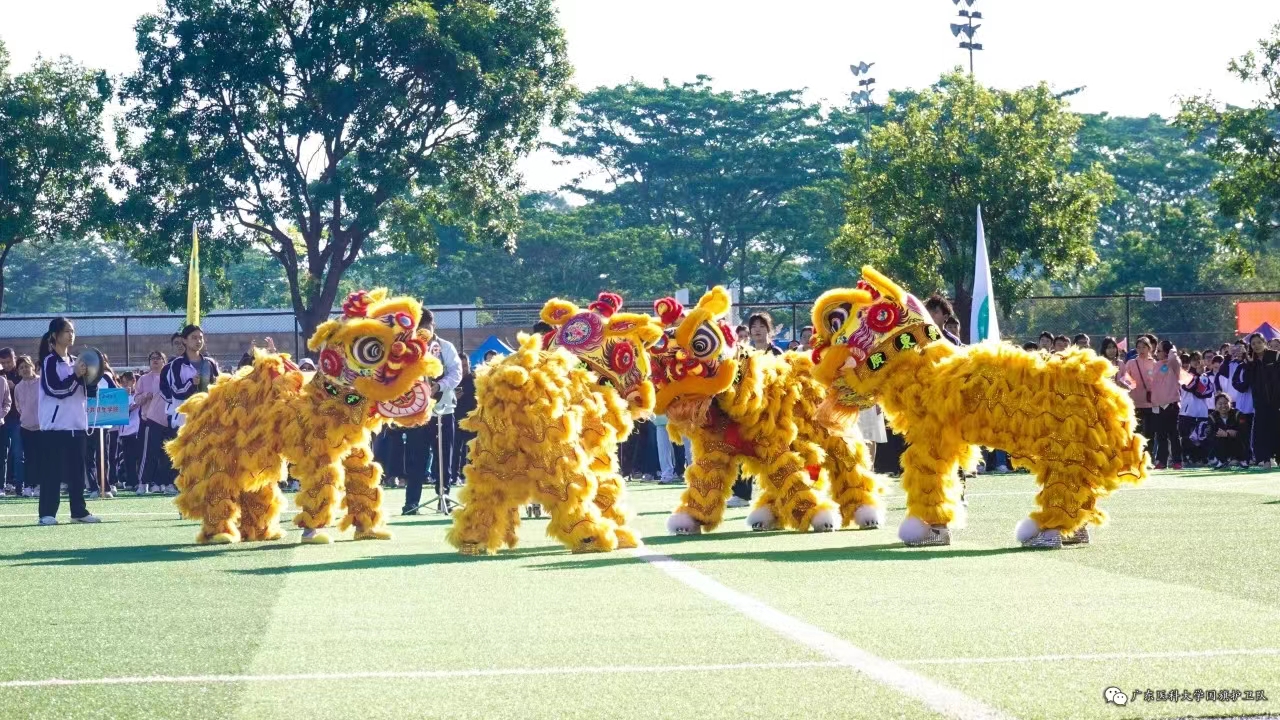 A7F97DA8E21C3FA7F506635D9AA_6EA76559_D5785 A7F97DA8E21C3FA7F506635D9AA_6EA76559_D5785