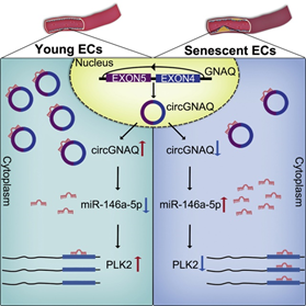 21CC0827C2331302EC3BB4C68E8_4C6B190B_1BC00