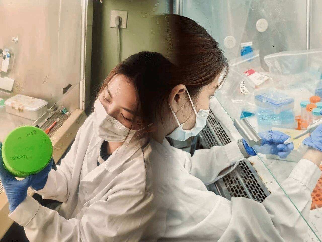 599FA507A8342B59106911F0392_FD6E3D90_7F28C