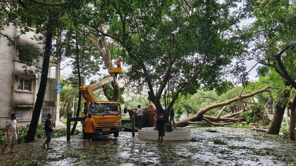 F0DBC487229AD11024238B1BF53_6158C6B8_33DEC