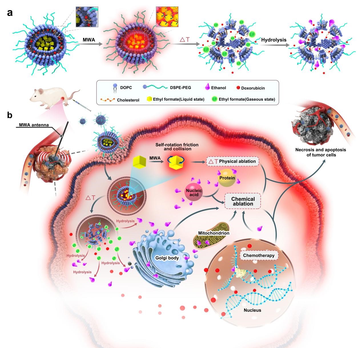 DEF6C46F2FC6E6C32C4C1B73DC3_E72A3A94_464A5
