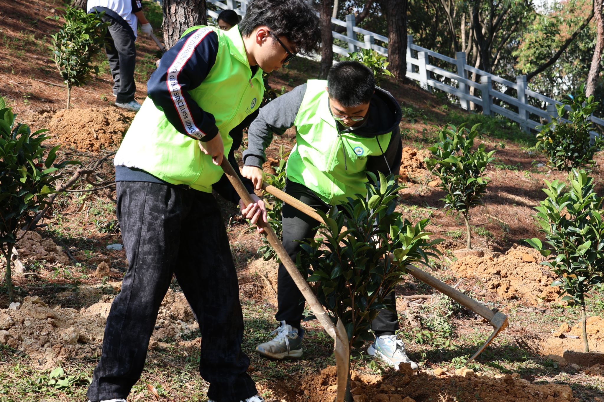 A0F59E4C65BB8EE966B95D55FAE_672C1334_AFD28