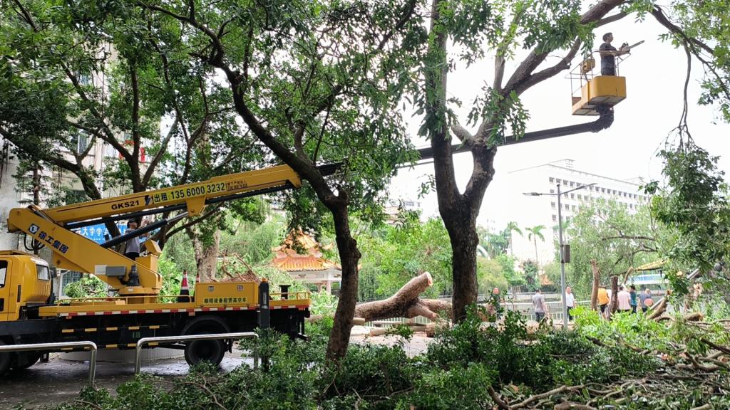 AA7F7D1F8829C1FDDF4A972C250_A4B296C9_2C0AB