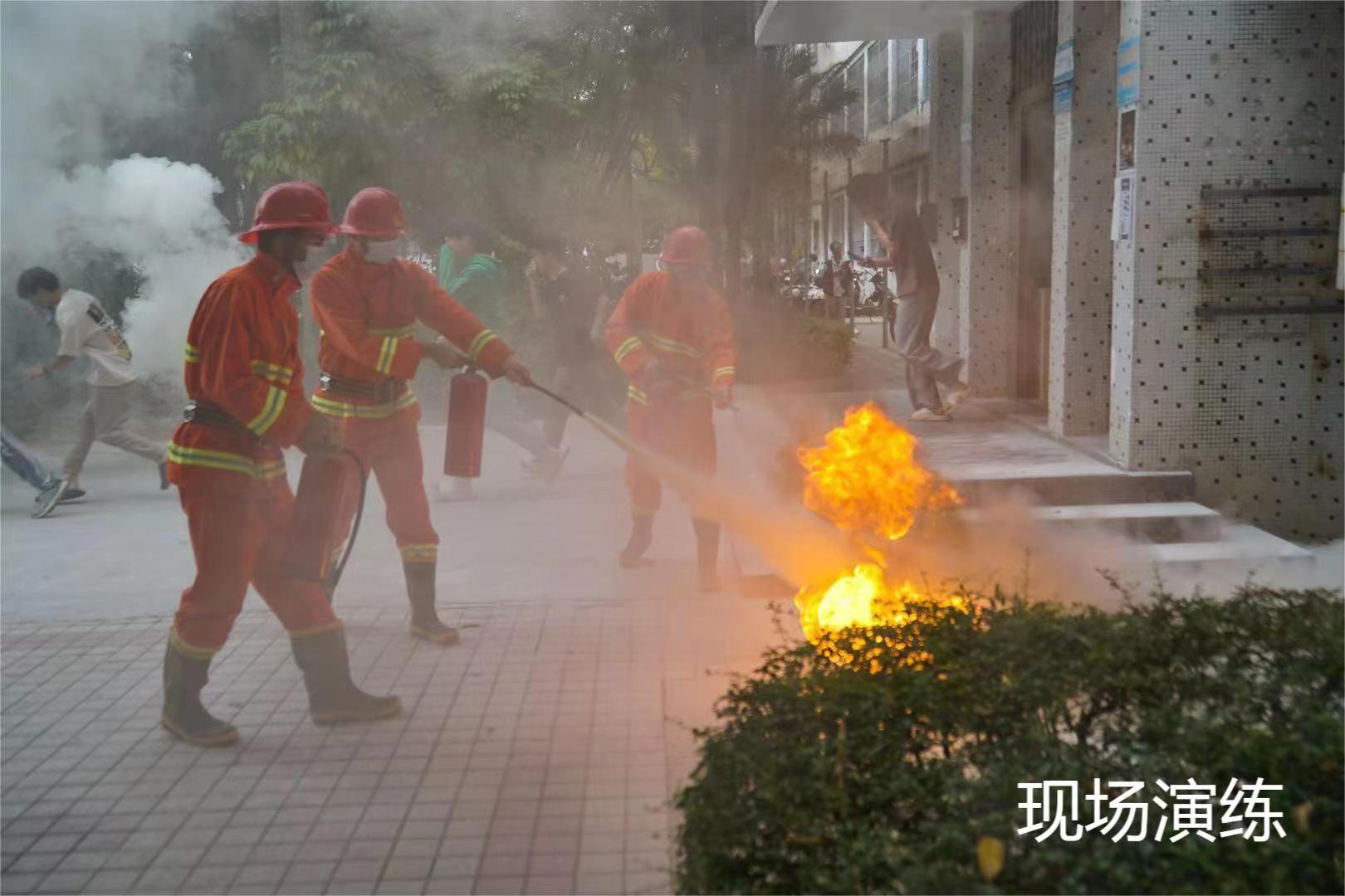 18D384BA3353FEA1E210312FBE2_9E9130E7_244C2