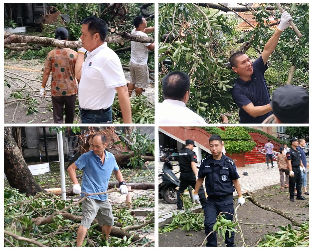 8FC912419EB513499A859D8F6E0_15757C36_3467D