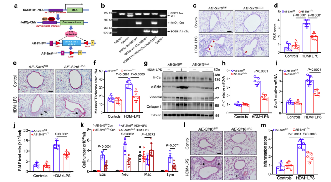 14179BB6A63FBF5E7A782F237EA_128666F5_81FE8