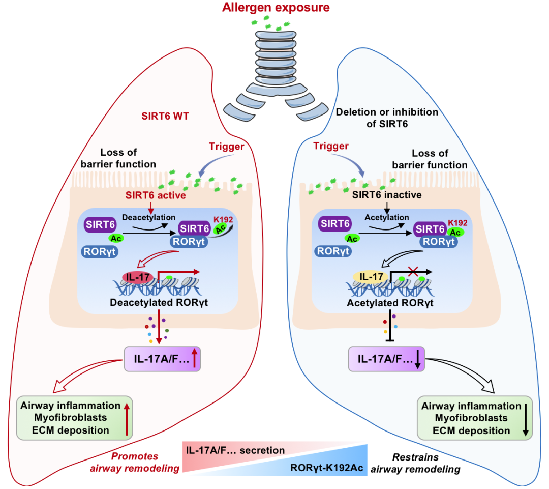 9F7A334D242D43798B49CE8C77A_9D5E2DB6_66D78