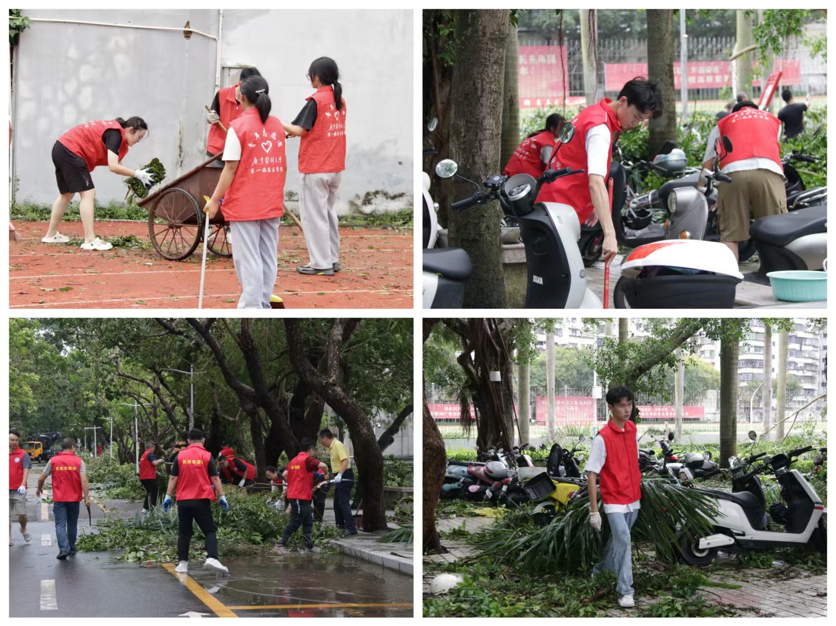 0941FF9447BD005B2BB4FCFB784_32777AB3_5E05D