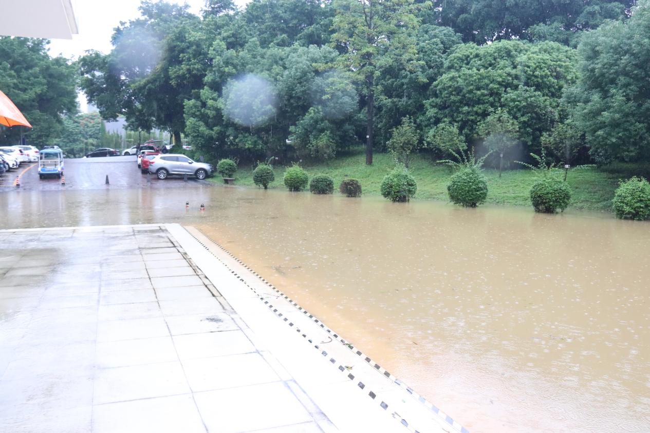 B3F5778BF49BDD9A9485435D0F6_439347F4_262B3 B3F5778BF49BDD9A9485435D0F6_439347F4_262B3