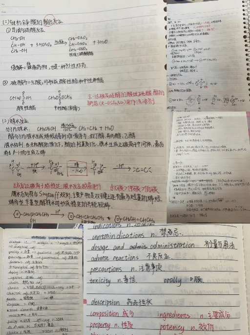 21E895CC38758D73A1B235E0E2D_8367B54B_335DA.png?e=