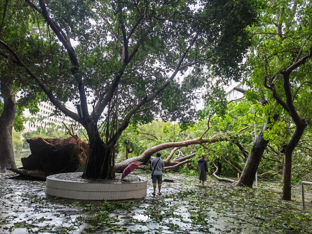 14600D56543D176EA6DA8123798_ABB0ED4E_419EC