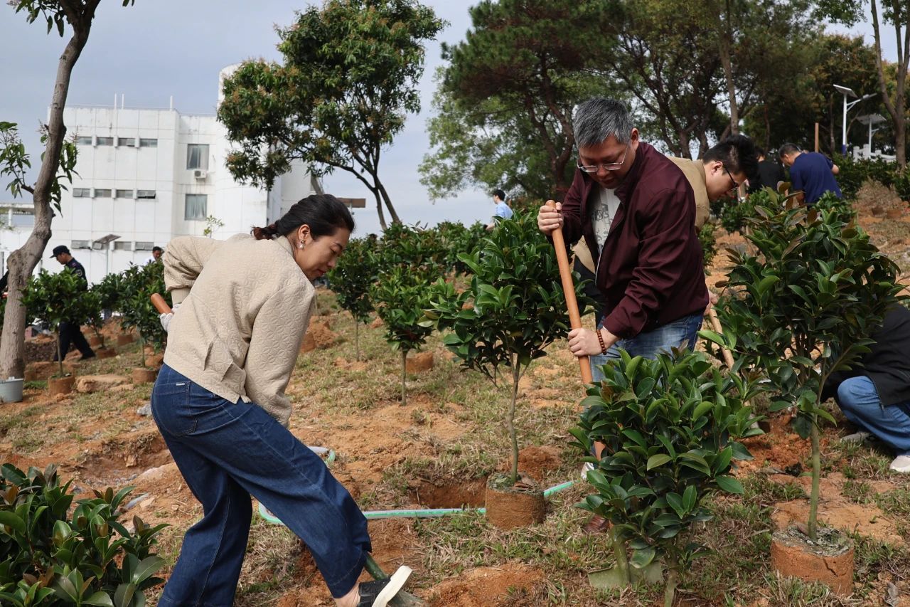 C29D3975DAD70CAC9EBF268D17D_43759D2B_44D06