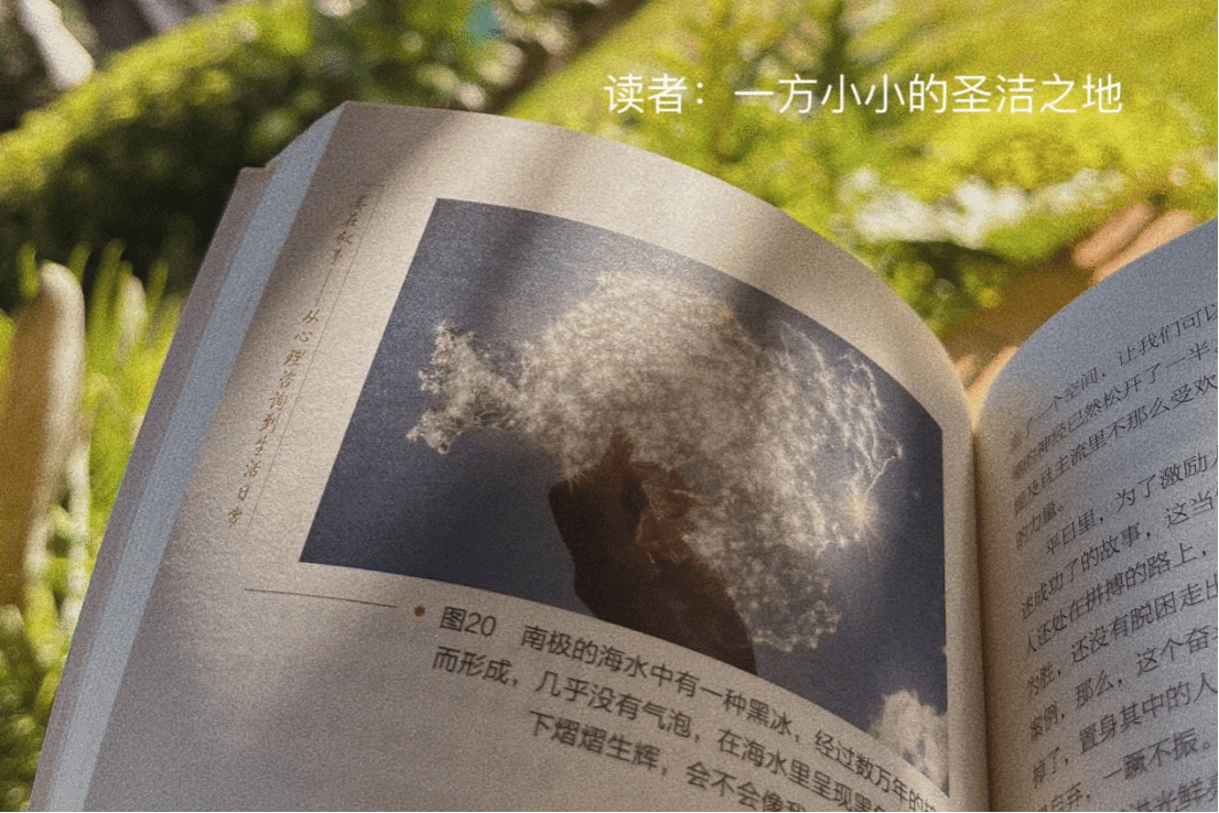 62B7928771073B260B278A44E60_4A937A93_750F4