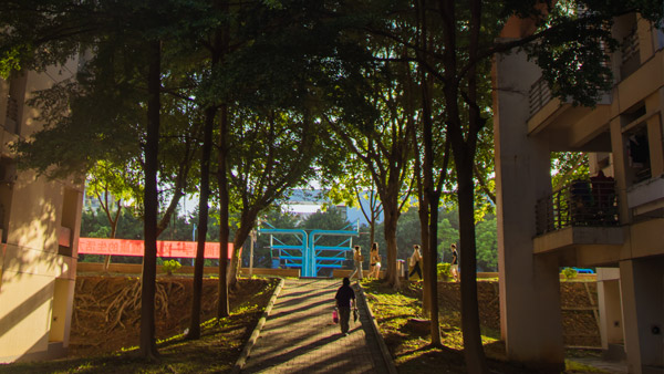 ��ҳ|�Ϲ�NG28��������Ʒ��ʵ������